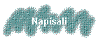 Napsali